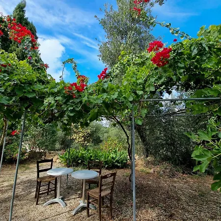 Forestata Village Apartment Kouvalata