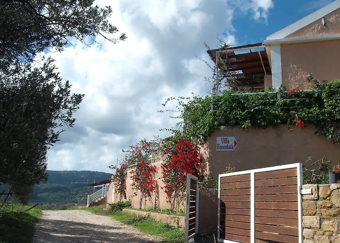 Forestata Village *